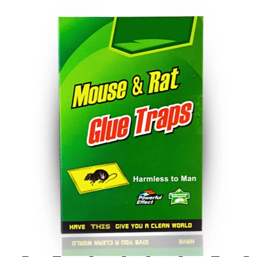 Super Glue Rat Board